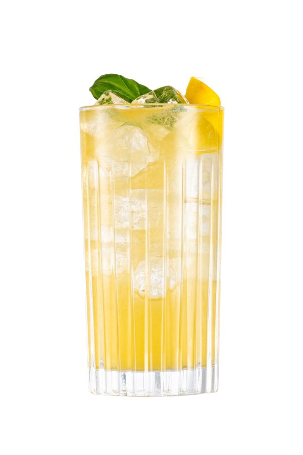 Peach Collins